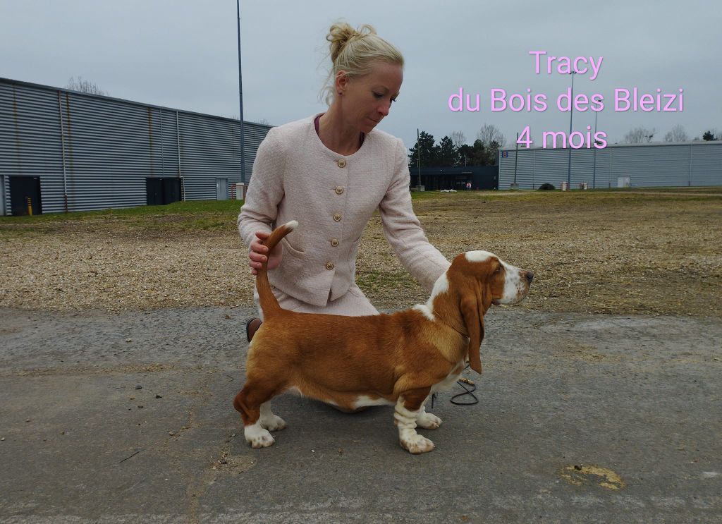 Tracy Du Bois Des Bleizi