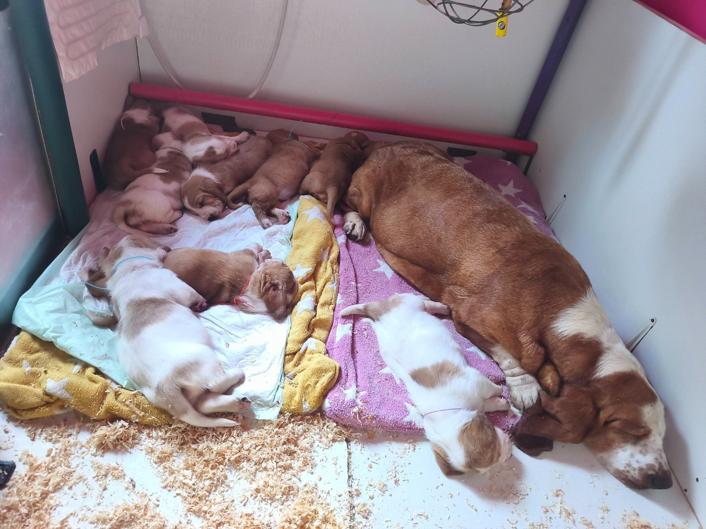 Nouvelle naissance le 25 AVRIL 2026